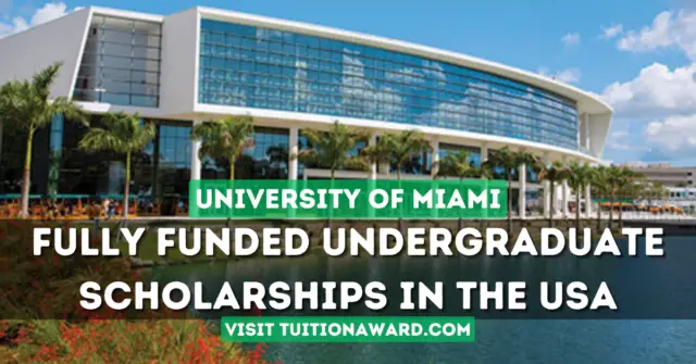 University of Miami Stamps Scholarship 2025 in the USA