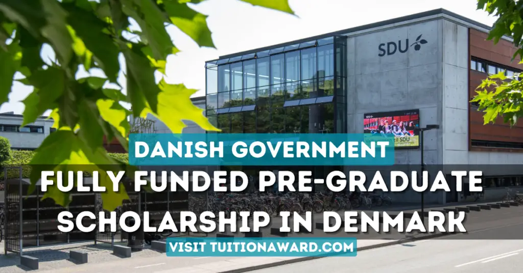 Danish Government Scholarship 2024 in Denmark (Fully Funded)