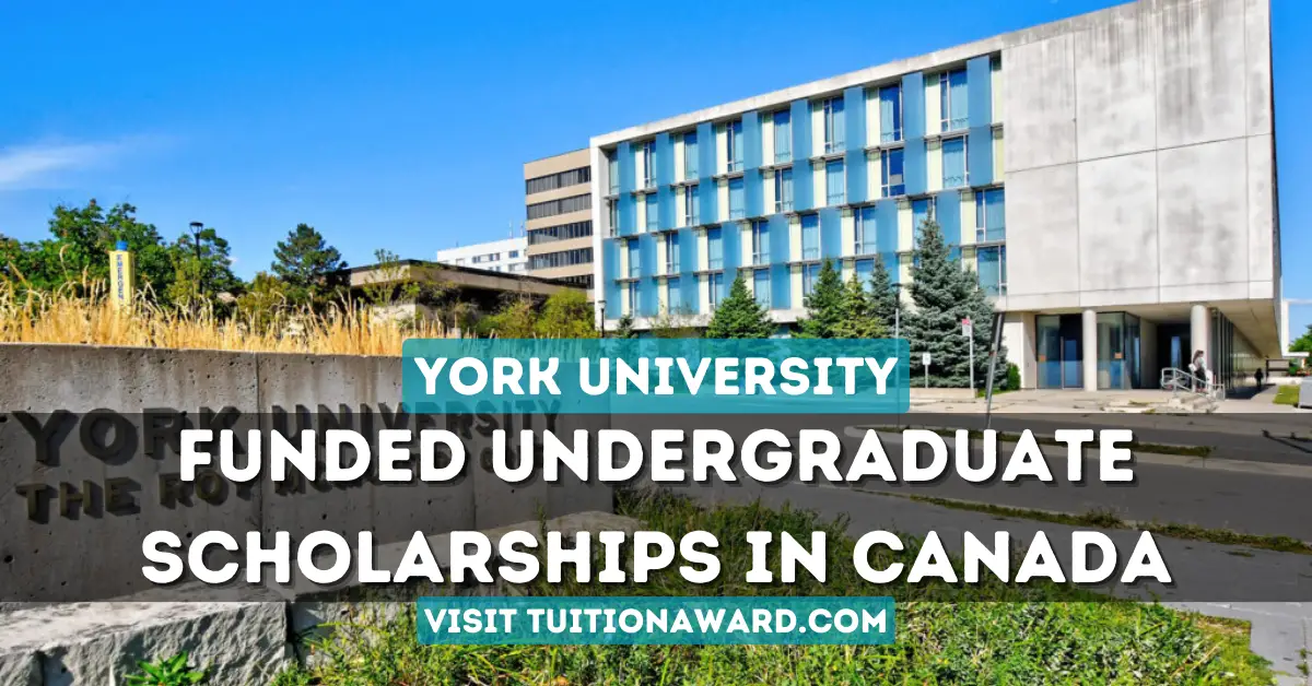 York University Undergraduate Scholarships 2024 in Canada